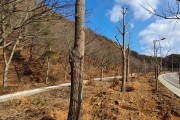 버려지는 나무를 살리는 업싸이클링 ‘나무은행’운영