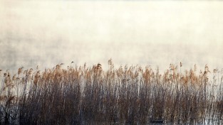 [포토] 문산 저수지의 가을 풍경